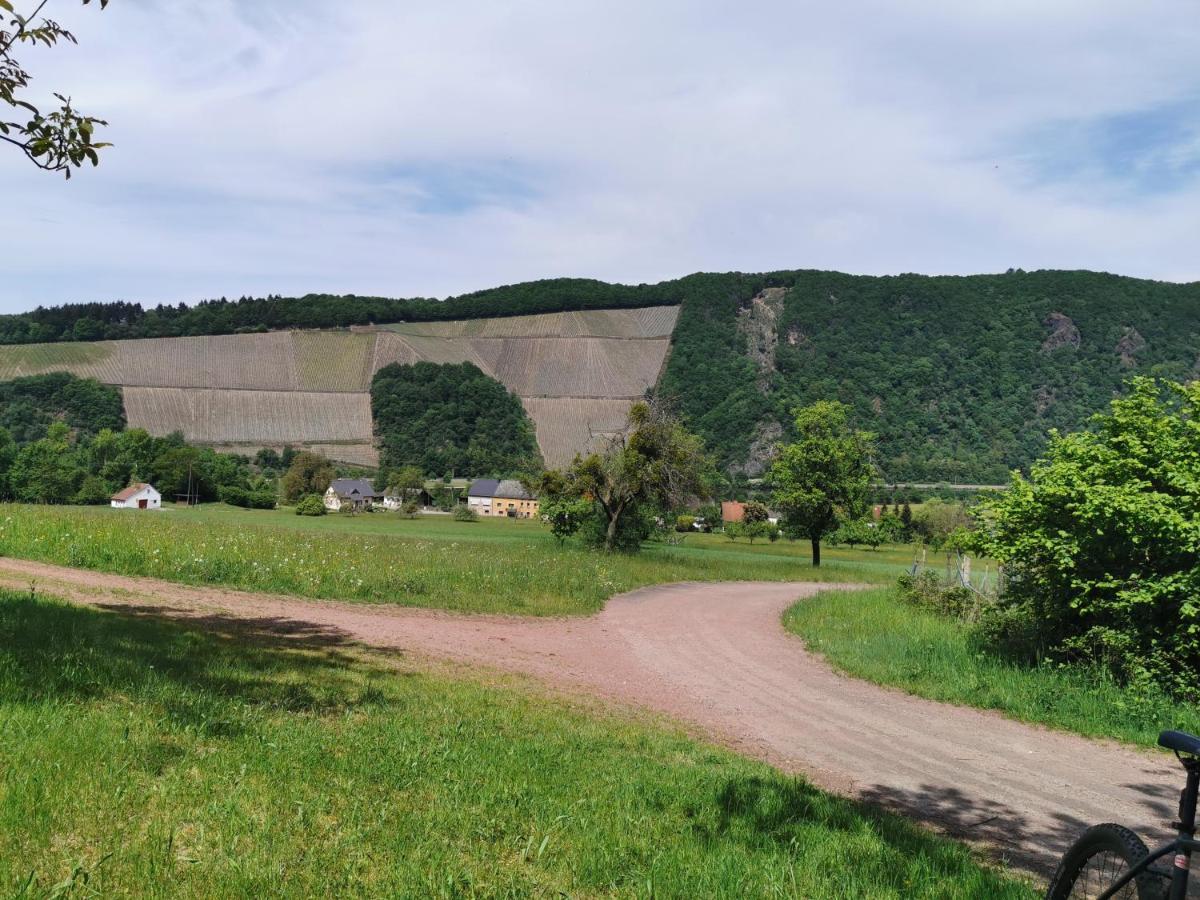 Gemuetliche 90 Qm Wohnung In Saarburg, Zentral Gelegen, Garten Mit Aussicht, Separater Eingang Exterior foto
